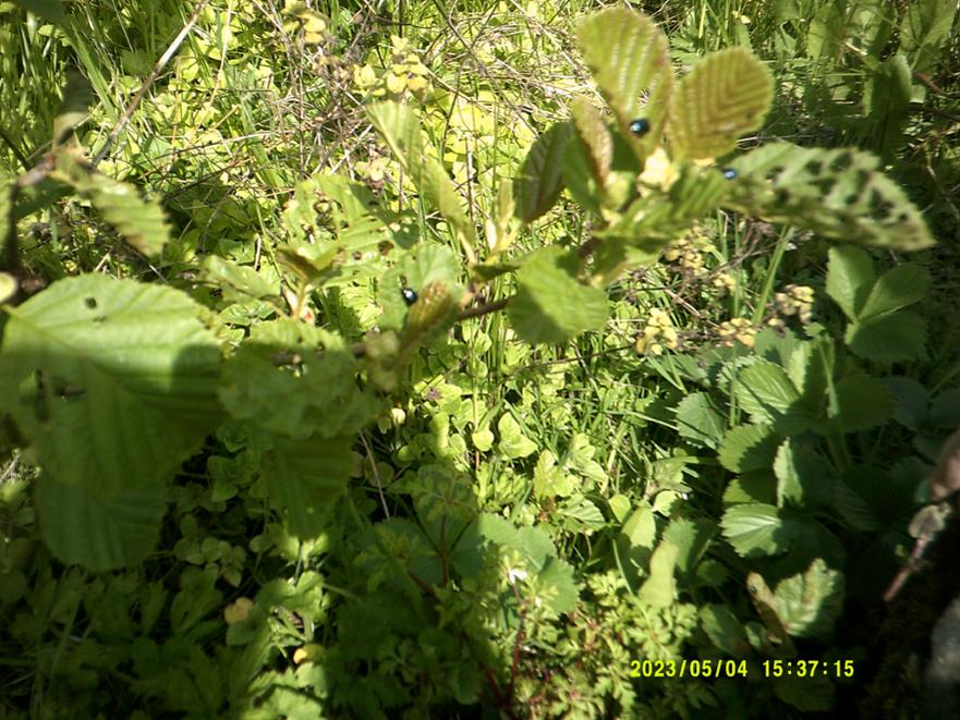 DSCF0026 