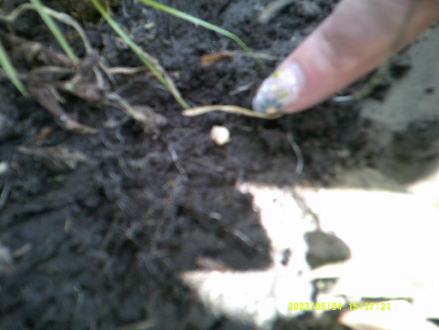 DSCF0027 