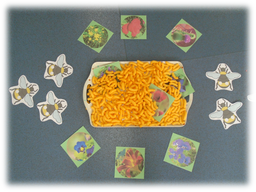 Picture1 