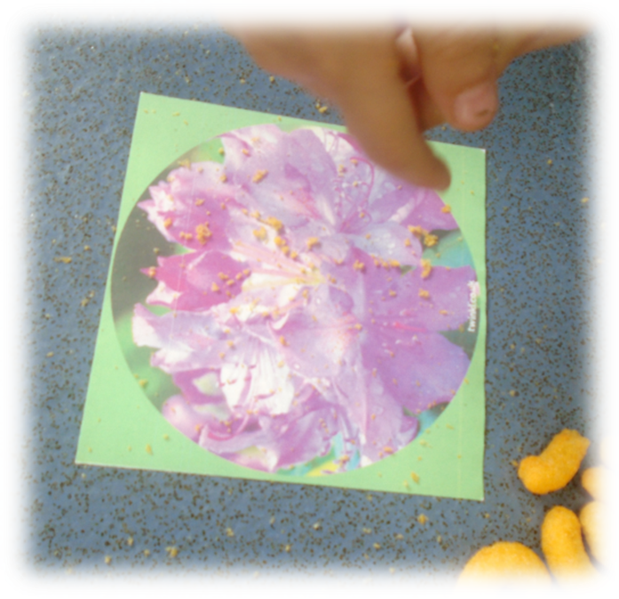 Picture5 