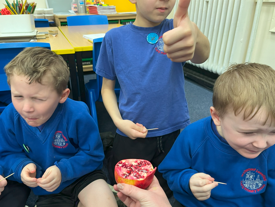 Fruit Tasting 5 