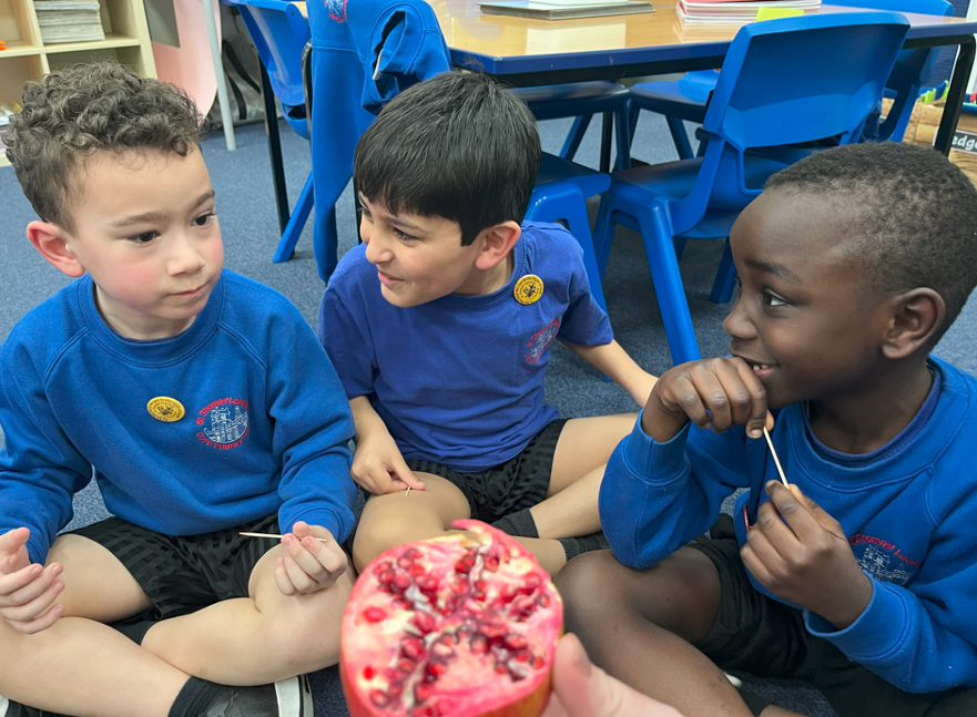 Fruit Tasting 7 