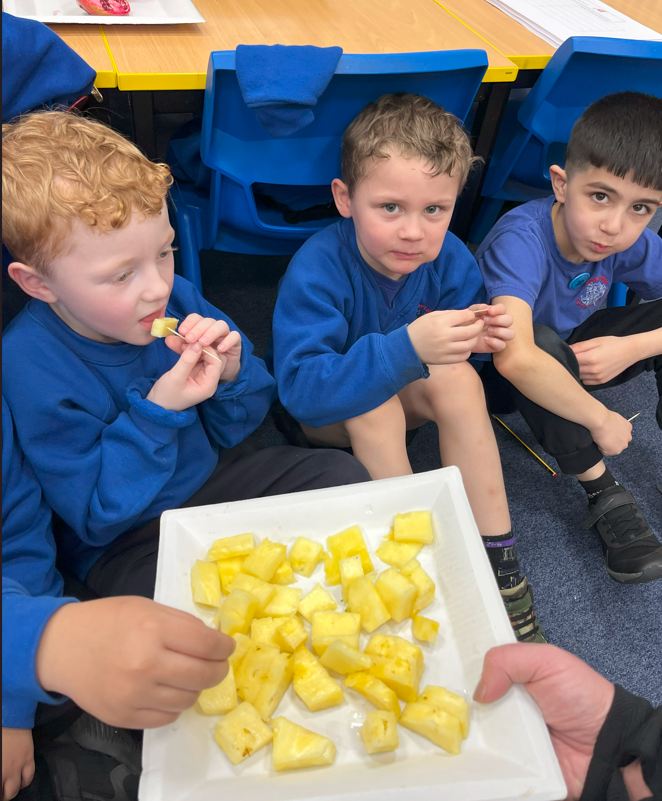 Fruit Tasting  